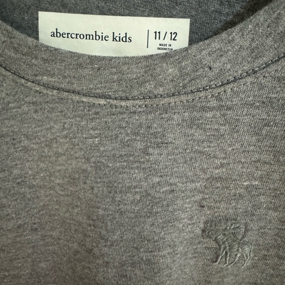 Abercrombie kids Girls Gray Long Sleeved T-Shirt Size US 11-12 - Picture 2 of 3